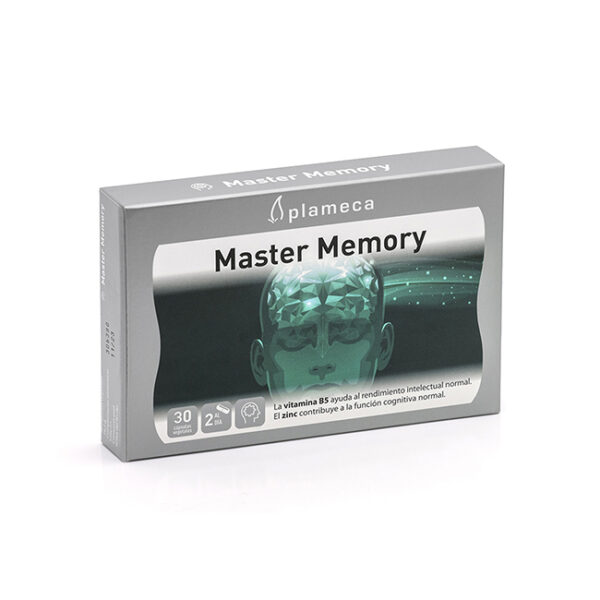master memory