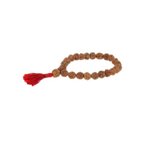 Pulsera-mala Rudraksha