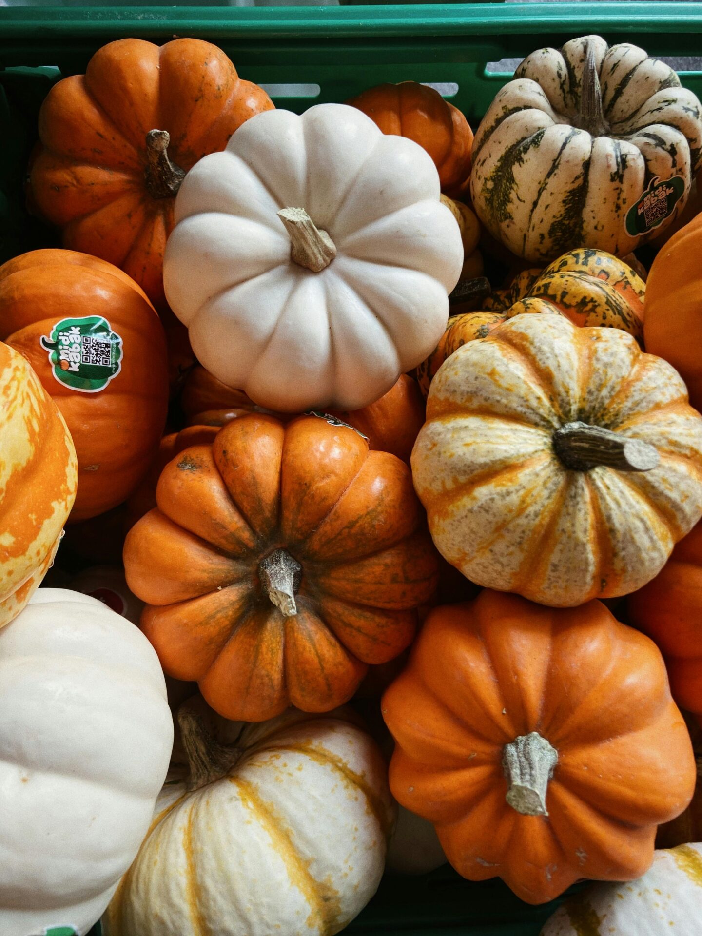 Los Mejores Alimentos para Fortalecer las Defensas en Otoño