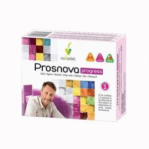 Prosnova Progress